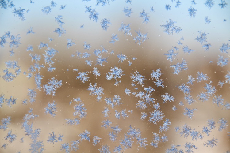 sunny_snowflakes